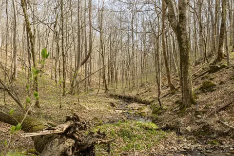 0 Maple Grove Rd, Dickson, TN 37055 photo 47