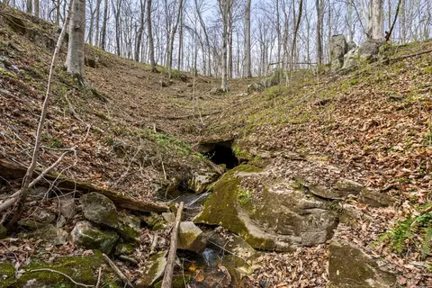 0 Maple Grove Rd, Dickson, TN 37055 photo 44