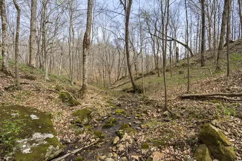 0 Maple Grove Rd, Dickson, TN 37055 photo 43