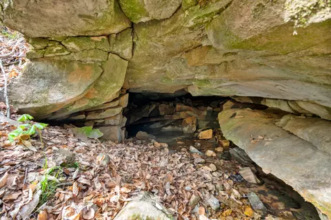 0 Maple Grove Rd, Dickson, TN 37055 photo 46