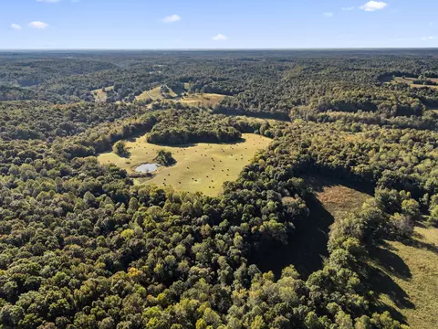 0 Maple Grove Rd, Dickson, TN 37055 photo 9