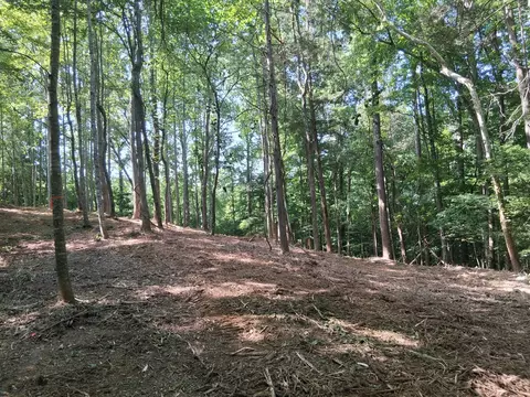 746 October Dr, Smithville, TN 37166