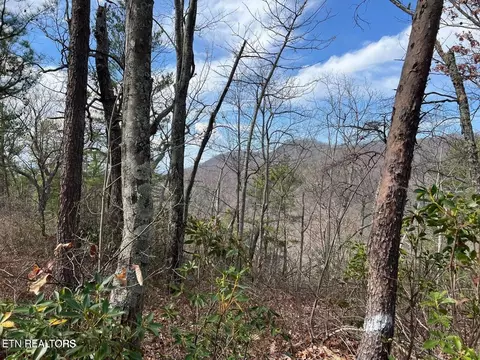 0 Chestnut Ridge Ct, Sevierville, TN 37876