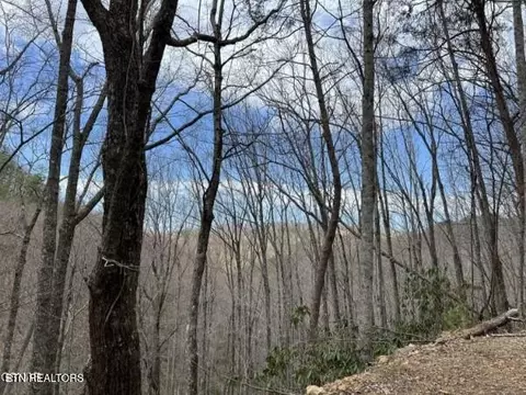 0 John Sevier Dr, Sevierville, TN 37876