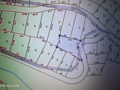 41 Green Meadow Dr, Sevierville, TN 37876