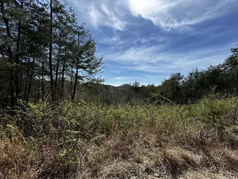 2 Owl Hollow Rd SW, Mc Donald, TN 37353