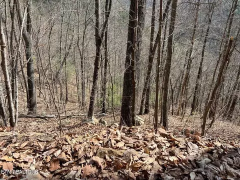 0 Aintree Dr, Sevierville, TN 37876