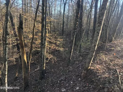 0 Yellowwood Dr, Sevierville, TN 37876