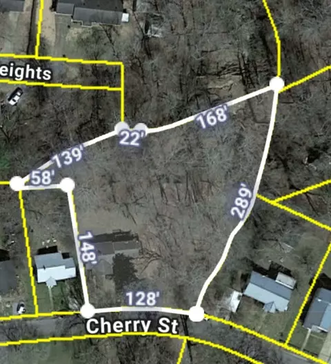 110 Cherry St, Centerville, TN 37033 photo 3