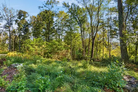 10 Back Ranch Dr, Silver Point, TN 38582 photo 9