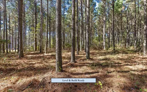 525 Canoe Ct, Guild, TN 37340 photo 5