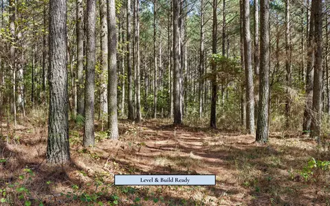 525 Canoe Ct, Guild, TN 37340 photo 11