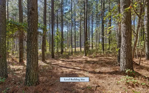 525 Canoe Ct, Guild, TN 37340 photo 15