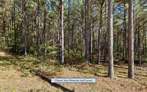 525 Canoe Ct, Guild, TN 37340 photo 12