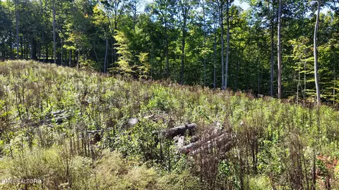 Exterior - 1 Conner Rd, Powell, TN 37849 photo 2 of 4
