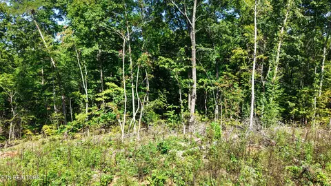 Other - 2 Conner Rd, Powell, TN 37849 photo 26 of 28
