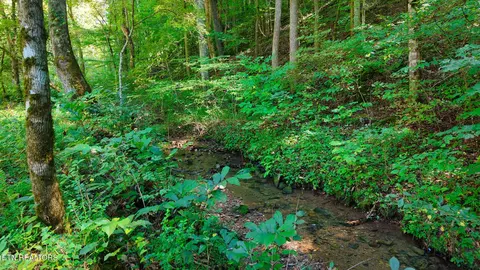 Other - 2 Conner Rd, Powell, TN 37849 photo 3 of 28