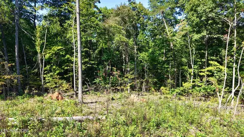 Other - 3 Conner Rd, Powell, TN 37849 photo 27 of 34