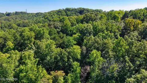 View/Area - 3 Conner Rd, Powell, TN 37849 photo 4 of 5