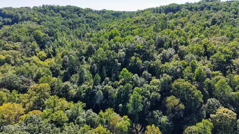 Other - 3 Conner Rd, Powell, TN 37849 photo 16 of 34
