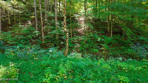 Exterior - 3 Conner Rd, Powell, TN 37849 photo 7 of 7
