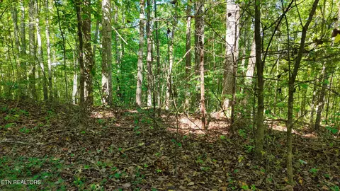 Exterior - 3 Conner Rd, Powell, TN 37849 photo 4 of 7