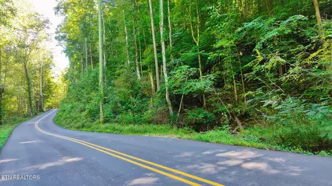 Other - 3 Conner Rd, Powell, TN 37849 photo 31 of 34