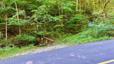 Other - 3 Conner Rd, Powell, TN 37849 photo 32 of 34