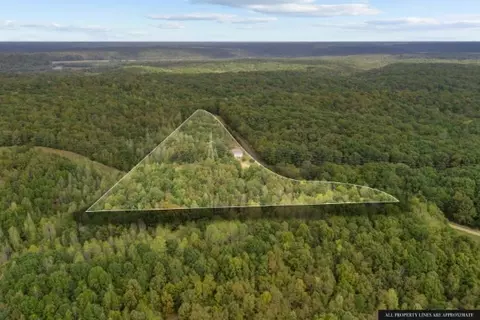 2294 Dogwood Rd, Hurricane Mills, TN 37078