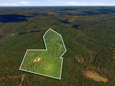 0 Baptist Branch Rd, Mount Pleasant, TN 38474