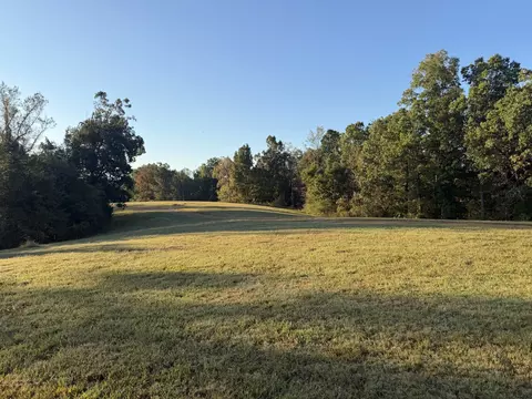 1 Caney Fork Rd, Fairview, TN 37062 photo 6