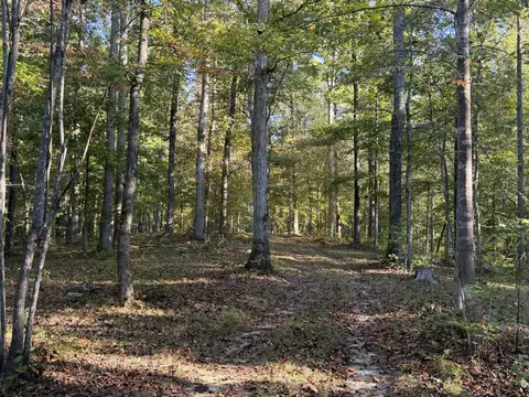 1 Caney Fork Rd, Fairview, TN 37062 photo 3