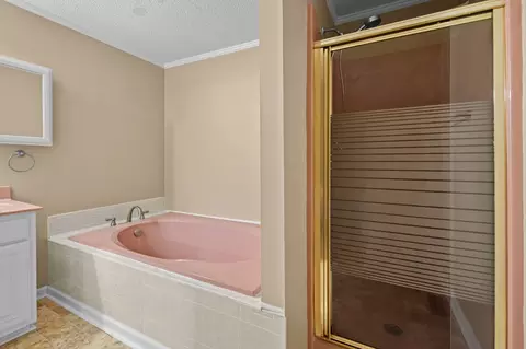 Bath - 511 Crocus Ct, Murfreesboro, TN 37128 photo 3 of 3