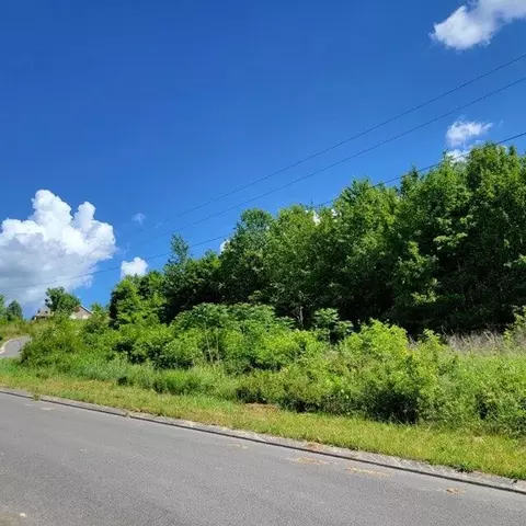 0 Hardin Rd, Dunlap, TN 37327 photo 7