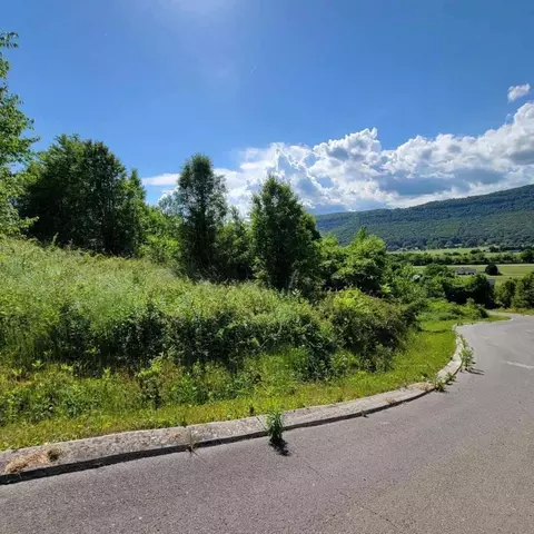 0 Hardin Rd, Dunlap, TN 37327 photo 5