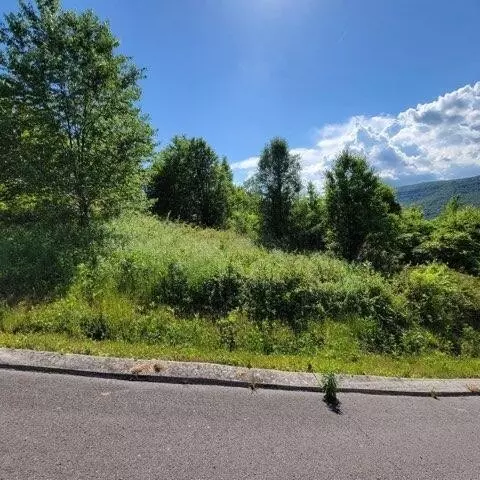 0 Hardin Rd, Dunlap, TN 37327 photo 8