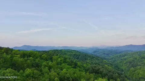41 Black Maple Way, Del Rio, TN 37727