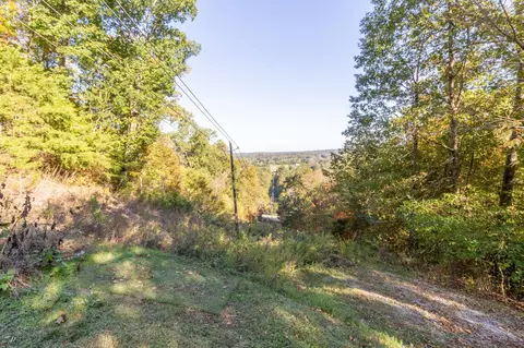 174 Clearview Dr, Ringgold, GA 30736 photo 16
