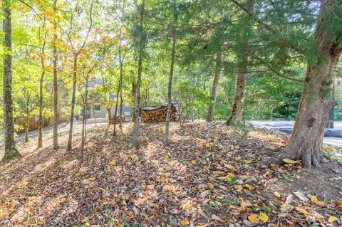174 Clearview Dr, Ringgold, GA 30736 photo 17