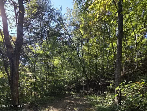 98 Redbud Ln, Sevierville, TN 37876