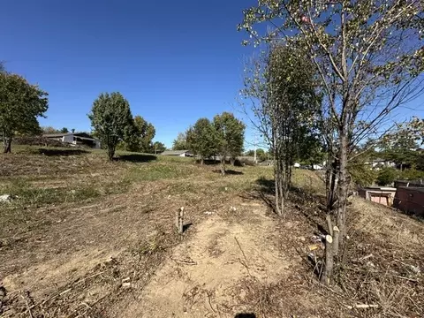 0 Haystack Ln, Antioch, TN 37013 photo 6