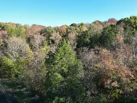 2474 Garner Rd, Mount Pleasant, TN 38474