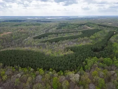 View/Area - 35 Rustic Pnes, Dover, TN 37058 photo 4 of 8