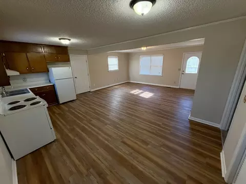Living - 220 Apache Cir, Pulaski, TN 38478 photo 5 of 5