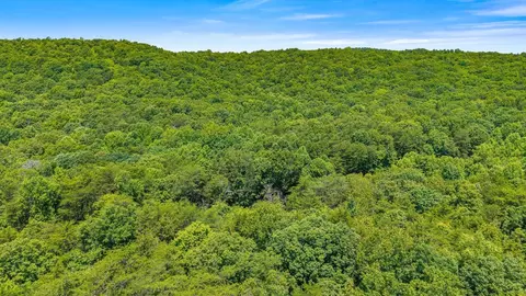 2 Windridge Dr, Dunlap, TN 37327 photo 11