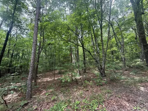 2 Windridge Dr, Dunlap, TN 37327 photo 20