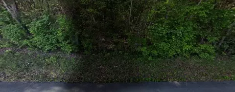 0 Blakemore Rd, Dickson, TN 37055 photo 3