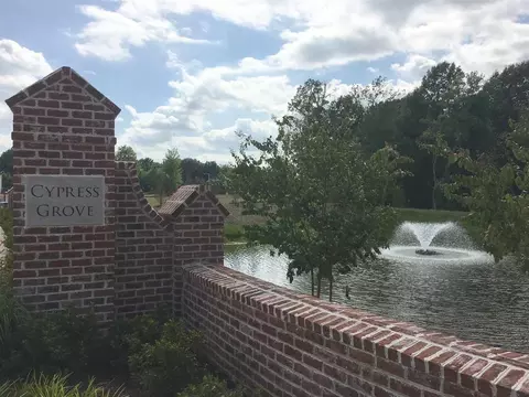 886 Cypress Run Dr, Collierville, TN 38017 photo 17