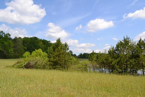 766 Rolling Meadows, Grimsley, TN 38565 photo 21