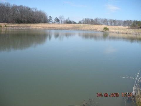 766 Rolling Meadows, Grimsley, TN 38565 photo 3